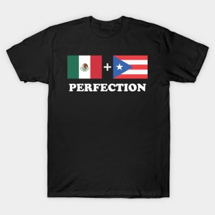 Aesthetic Mexican Plus Puerto Rican Perfection Funny T-Shirt